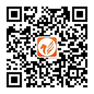 飞码导购公众号